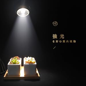 Niwuno（ニウノ）植物育成LEDライト Aurora N95 LED 暖色系 高PPFD 高力率 高演色性 フルスペクトル 植物用LEDライト レンズ外し可能 長寿命 E26口金 集光レンズ付き